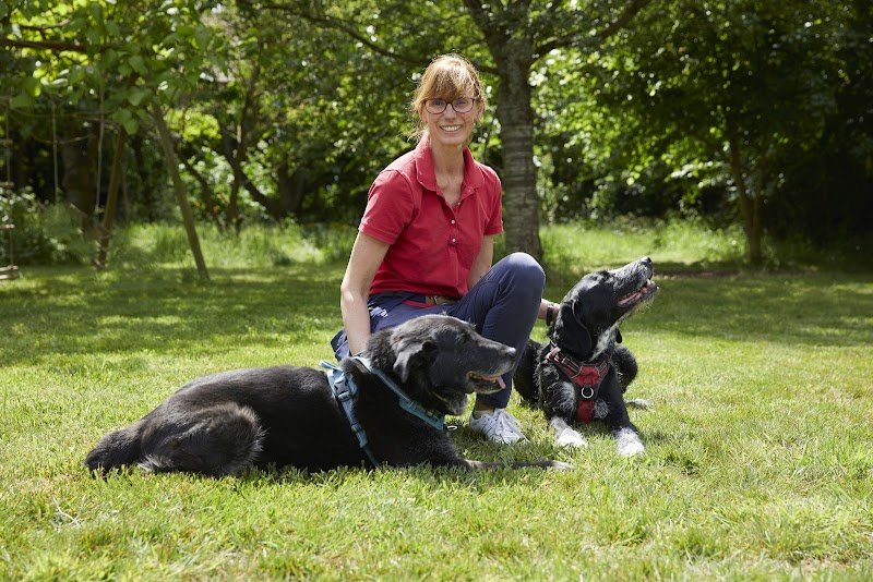 La Wouf Compagnie- Mélanie Verhaeghe- Education du chien de famille - photo 1