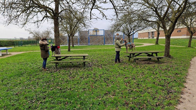 La Wouf Compagnie- Mélanie Verhaeghe- Education du chien de famille - photo 2