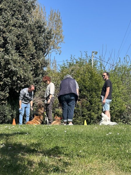 Club canin d'Hellemmes - photo 1