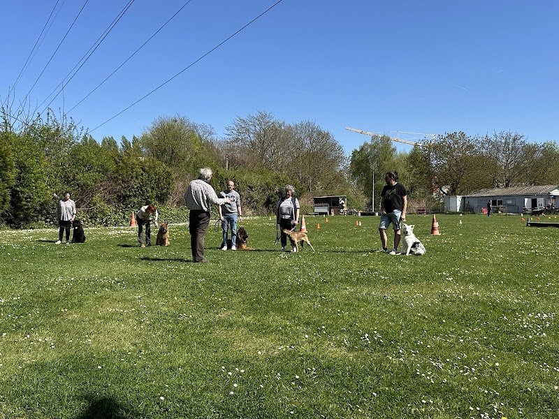 Club canin d'Hellemmes - photo 2