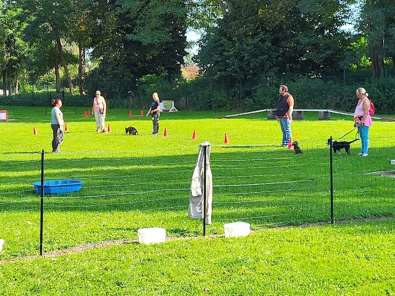 Union Canine Anzinoise - photo 1