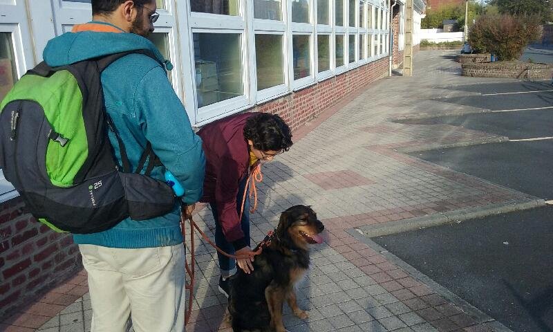 Reflex'Canin - photo 3