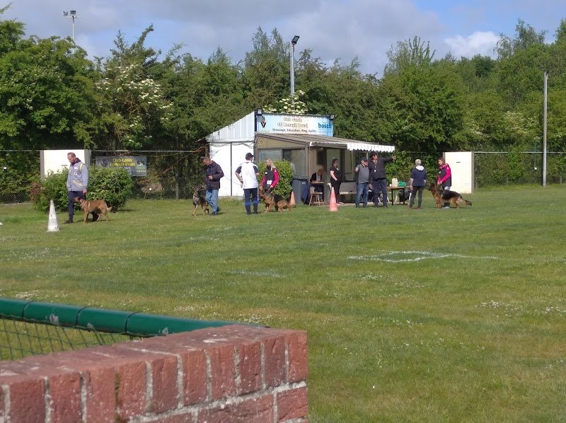 Club Canin C.E. Renault Douai - photo 1