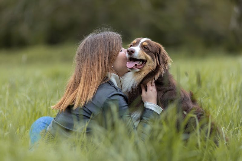 Entre Pawtes - Éducateur comportementaliste canin - photo 1