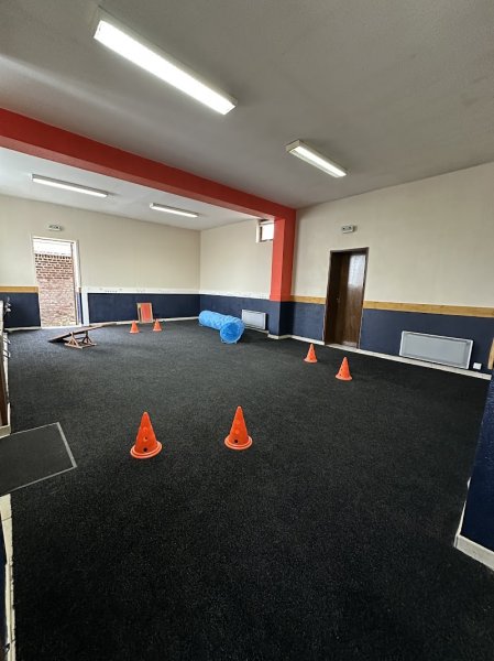Galaxy Dog Cambrai - Centre de loisirs canin et d'éducation canine - photo 2