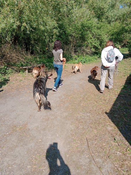 Cani dō 🐾 Éducateur Comportementaliste canin - photo 1