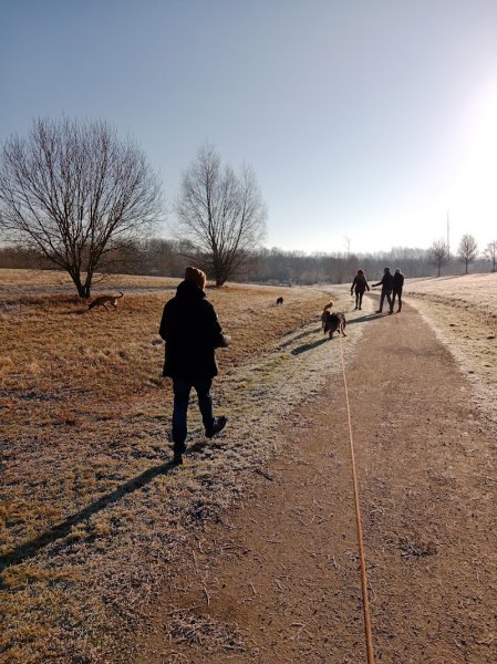 Cani dō 🐾 Éducateur Comportementaliste canin - photo 3