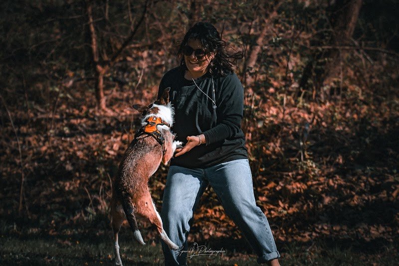 Servane : Bien-être Complice | Comportementaliste équin, canin et félin - photo 3