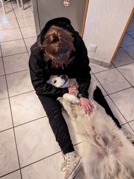 Doggy’Cation – Éducation & Comportement Canin à Loos - photo 2