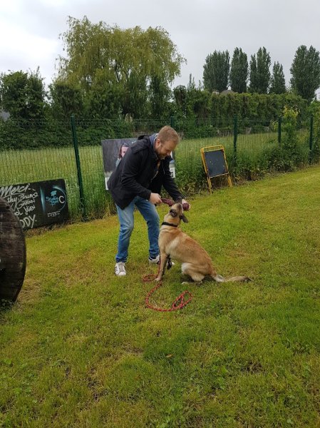Bertrand Beuns éducateur canin professionnel Zoothérapeute - photo 2