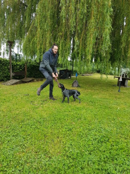 Bertrand Beuns éducateur canin professionnel Zoothérapeute - photo 3