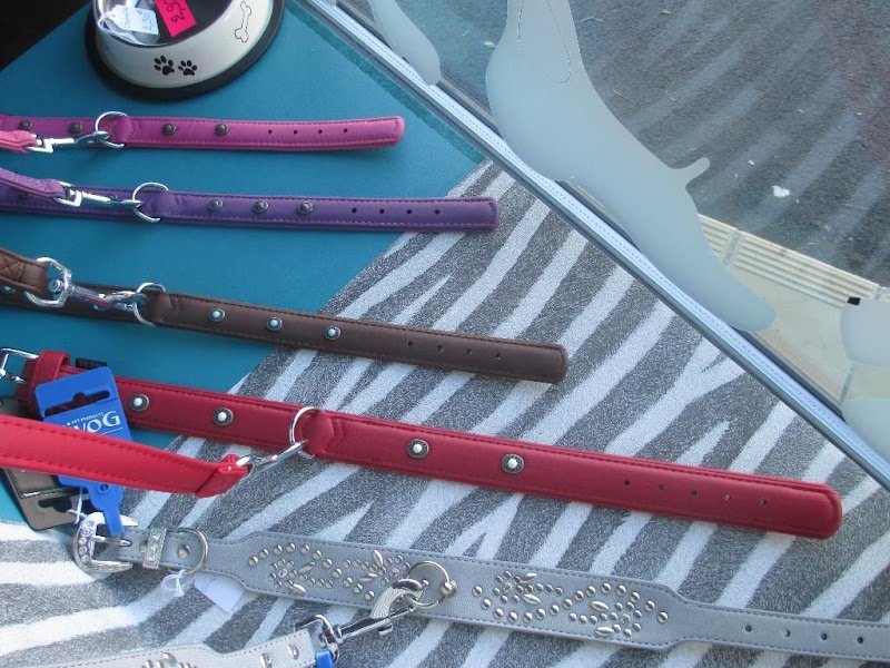 Educa'Tif Canin - photo 2