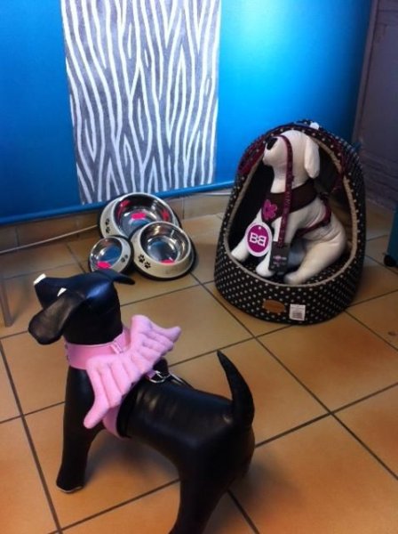 Educa'Tif Canin - photo 3