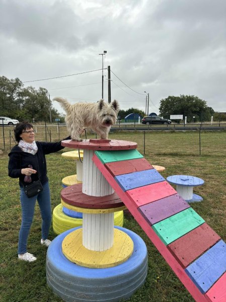Michel Gioé - Educateur Comportementaliste Canin Hazebrouck