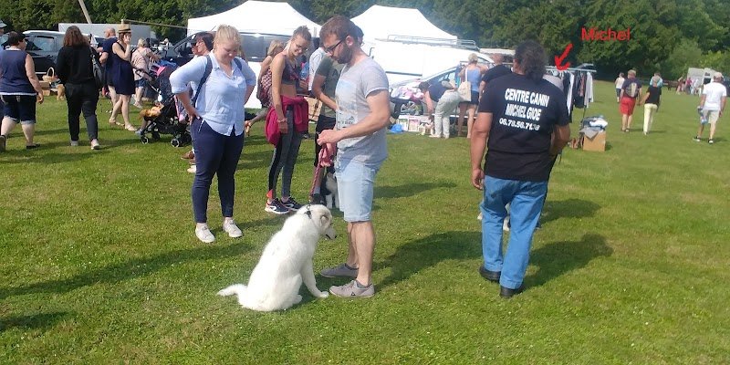 Michel Gioé - Educateur Comportementaliste Canin Hazebrouck - photo 3