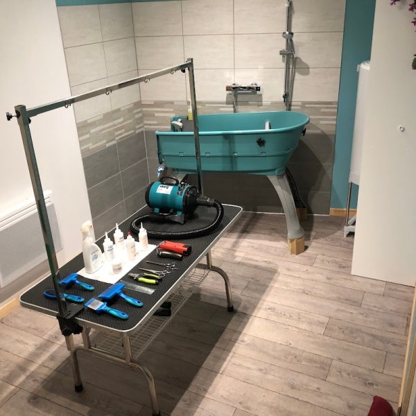 L'atelier Canin - photo 3