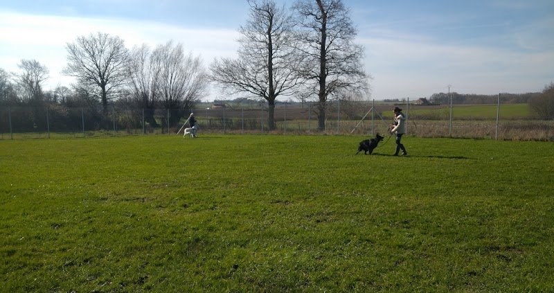 A2C Apprentissage et Comportement du Chien - photo 1