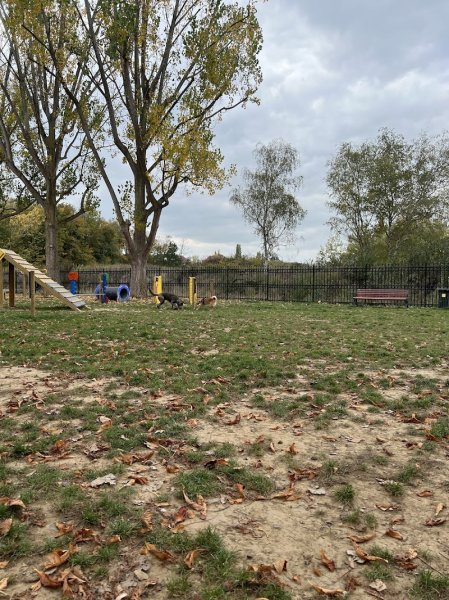 Parc Canin - photo 1