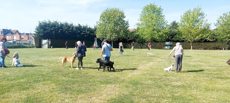 Club Cynophile Les Vengeurs