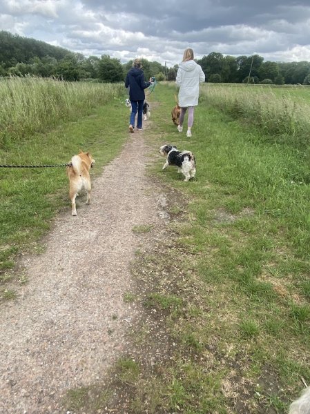 Quat'Pattes - Education canine bienveillante - photo 2