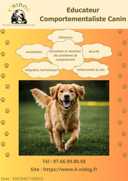K'nidog - Éducateur Comportementaliste Canin