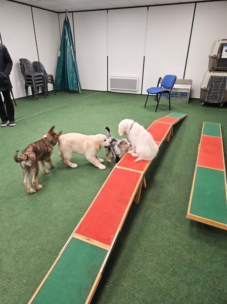 Village Canin - photo 3