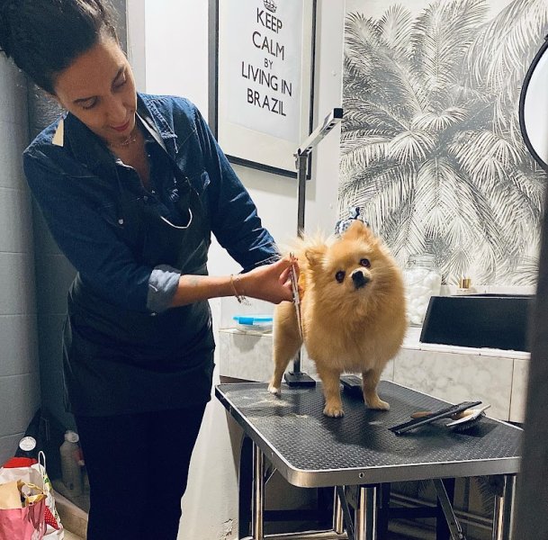 Domi' Style Canin - photo 3