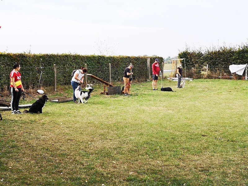 Club Canin d'Emmerin - photo 2