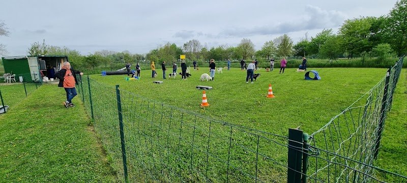 Club d'Education et d'Activités Canines de Wavrin