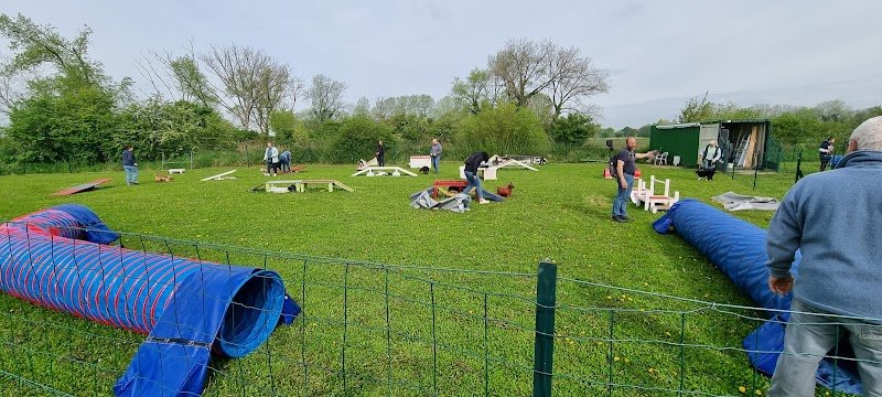 Club d'Education et d'Activités Canines de Wavrin - photo 3