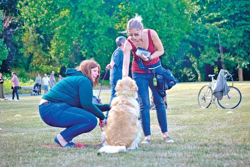 Main de Maître - Audrey Dulieux - Éducateur canin & Comportementaliste - Naturopathe animalier