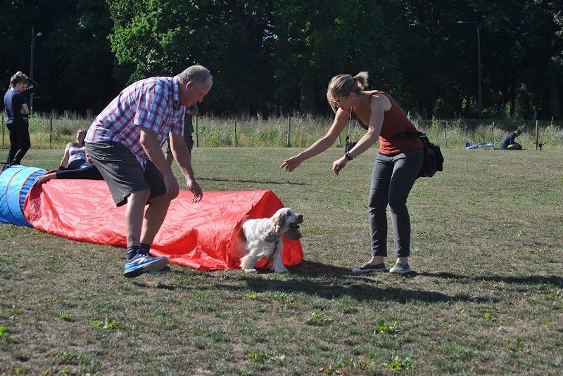 Main de Maître - Audrey Dulieux - Éducateur canin & Comportementaliste - Naturopathe animalier - photo 3