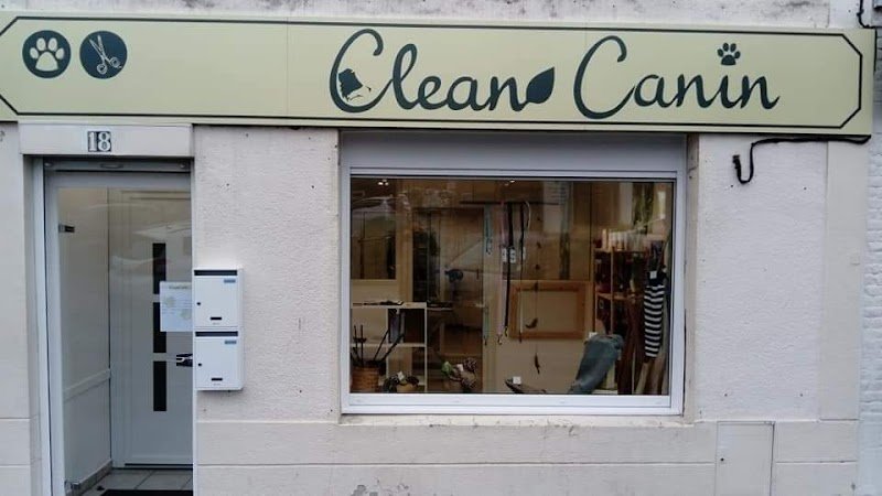 Clean Canin - photo 1