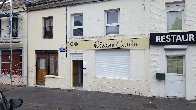 Clean Canin - photo 2