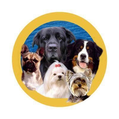 L ALLIANCE CANINE - photo 3