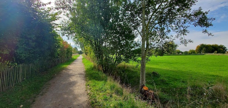 Bois Leurent - Parc à chien