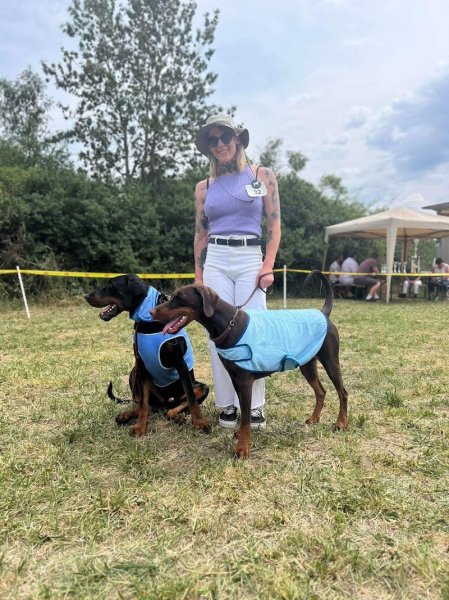 Doggy Tour - photo 1