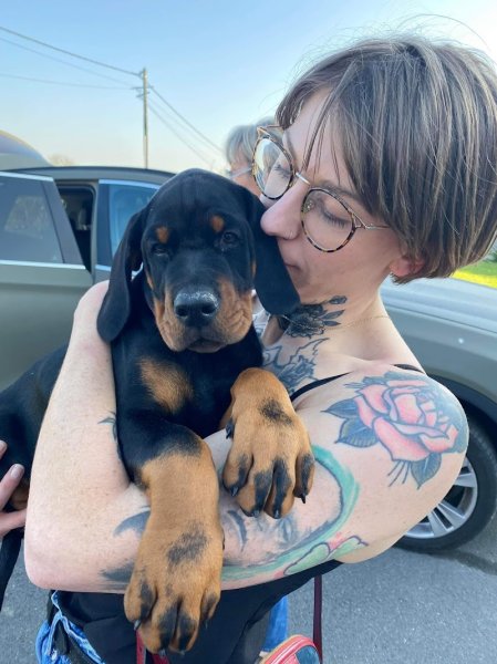 Doggy Tour - photo 2