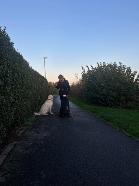 Doggy Tour - photo 3