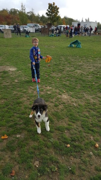 Club Éducation Canine de Rieulay - photo 3