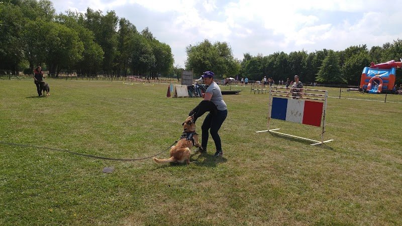 Emulation Canine Aniche