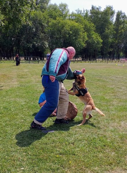 Emulation Canine Aniche - photo 3