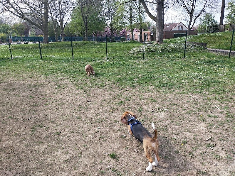 Parc à Chiens de Marquette-lez-Lille - photo 1
