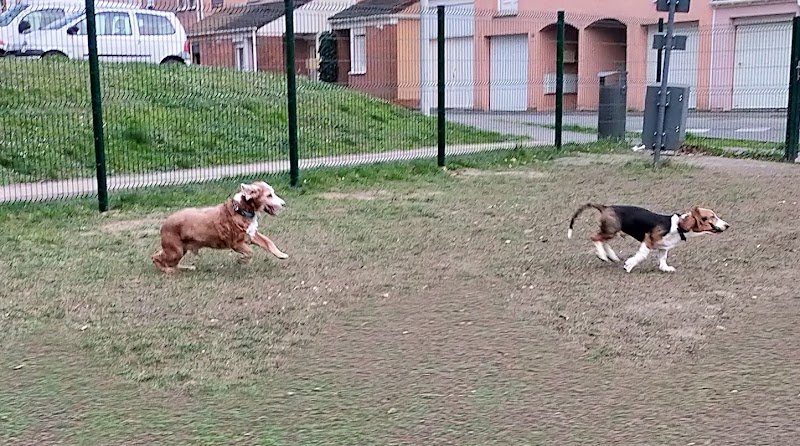 Parc à Chiens de Marquette-lez-Lille - photo 3