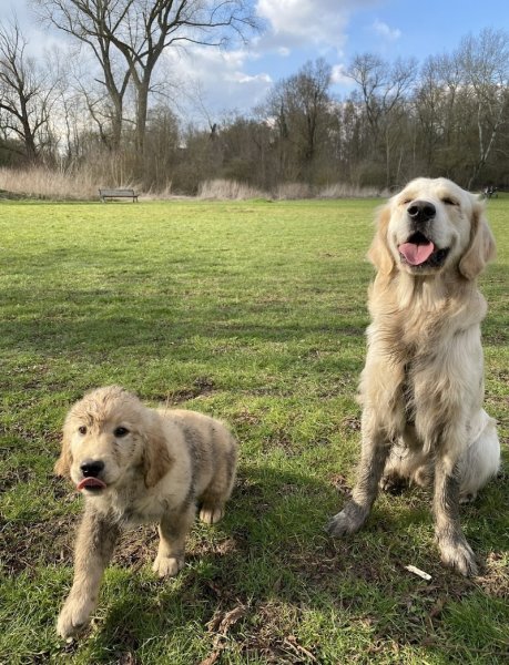 Ma Bonne Patte (éducatrice comportementaliste canin & pet-sitter)