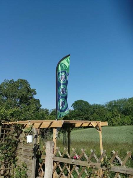 Wolf Dog Education / Taxi Animalier / pet sitter