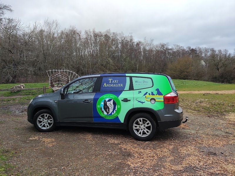 Wolf Dog Education / Taxi Animalier / pet sitter - photo 2