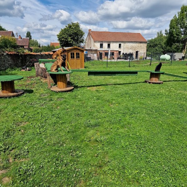 BG Dog's Team - photo 2