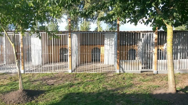 Pension Diablotin Dog