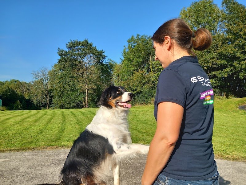 Espace Canin - photo 3